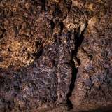 La volta in pietra, dalle varie sfumature che vanno dal colore blu al sabbia...